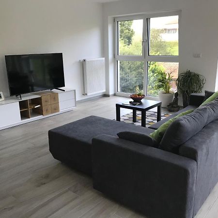 Ferienwohnung „Frosch“ Neukirchen-Balbini Extérieur photo